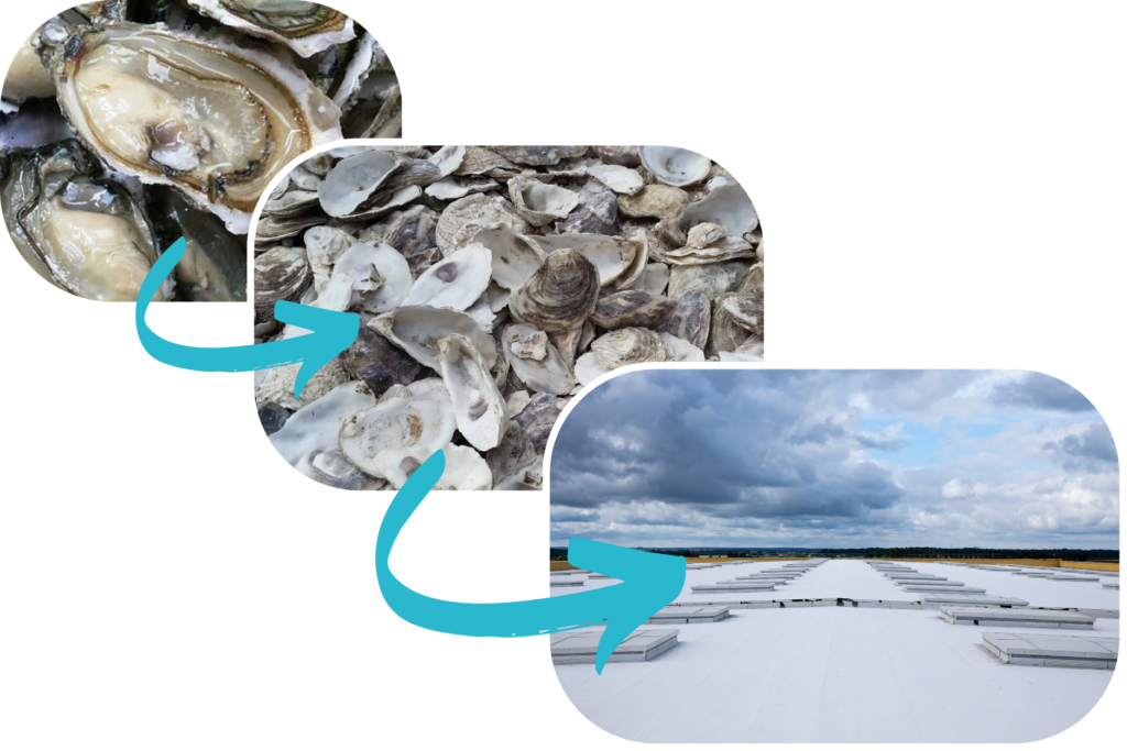 Faire une peinture à l’huître ? C’est la particularité des produits Cool Roof !